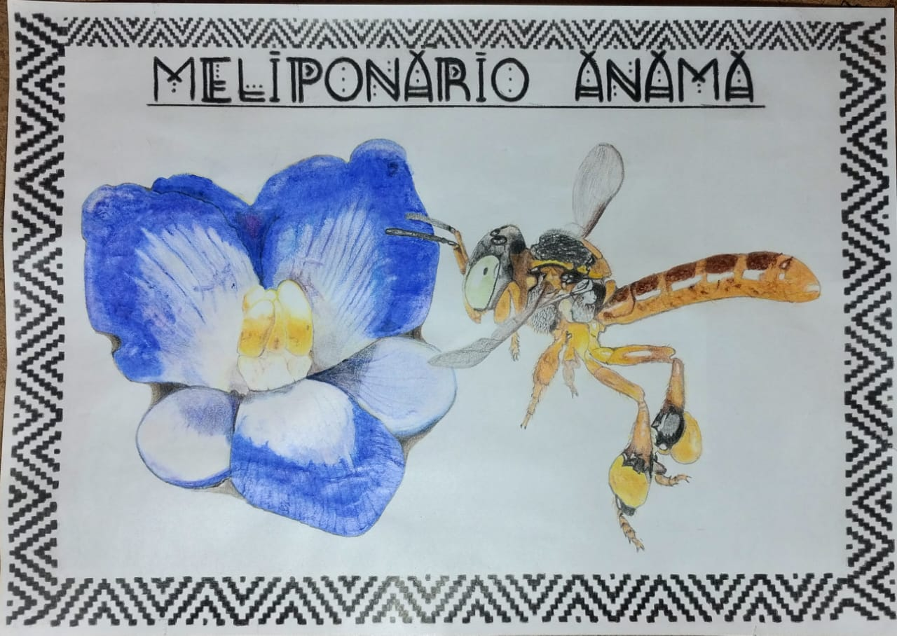 desenho original da marca